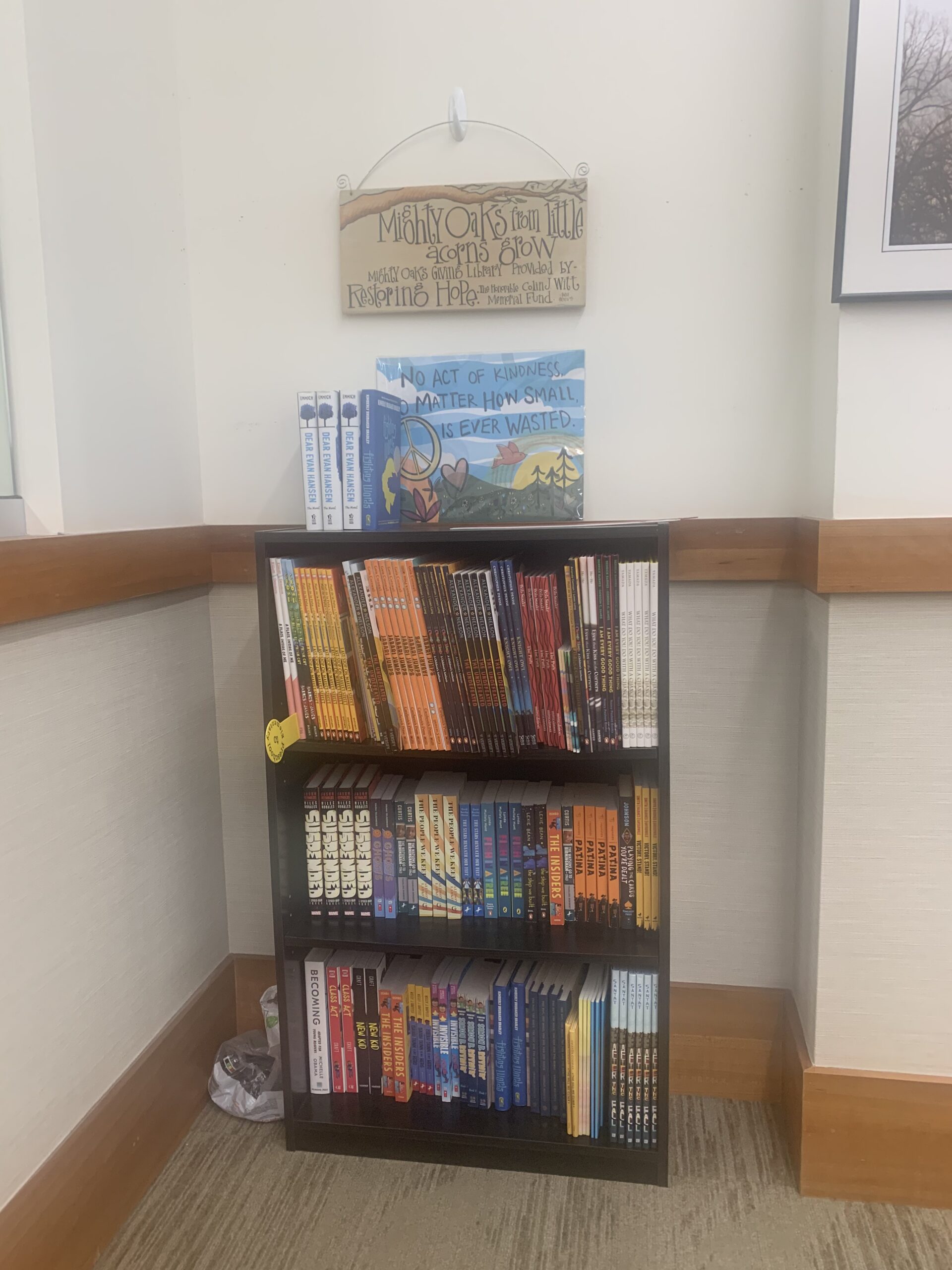 Mighty Oaks Giving Library bookshelf